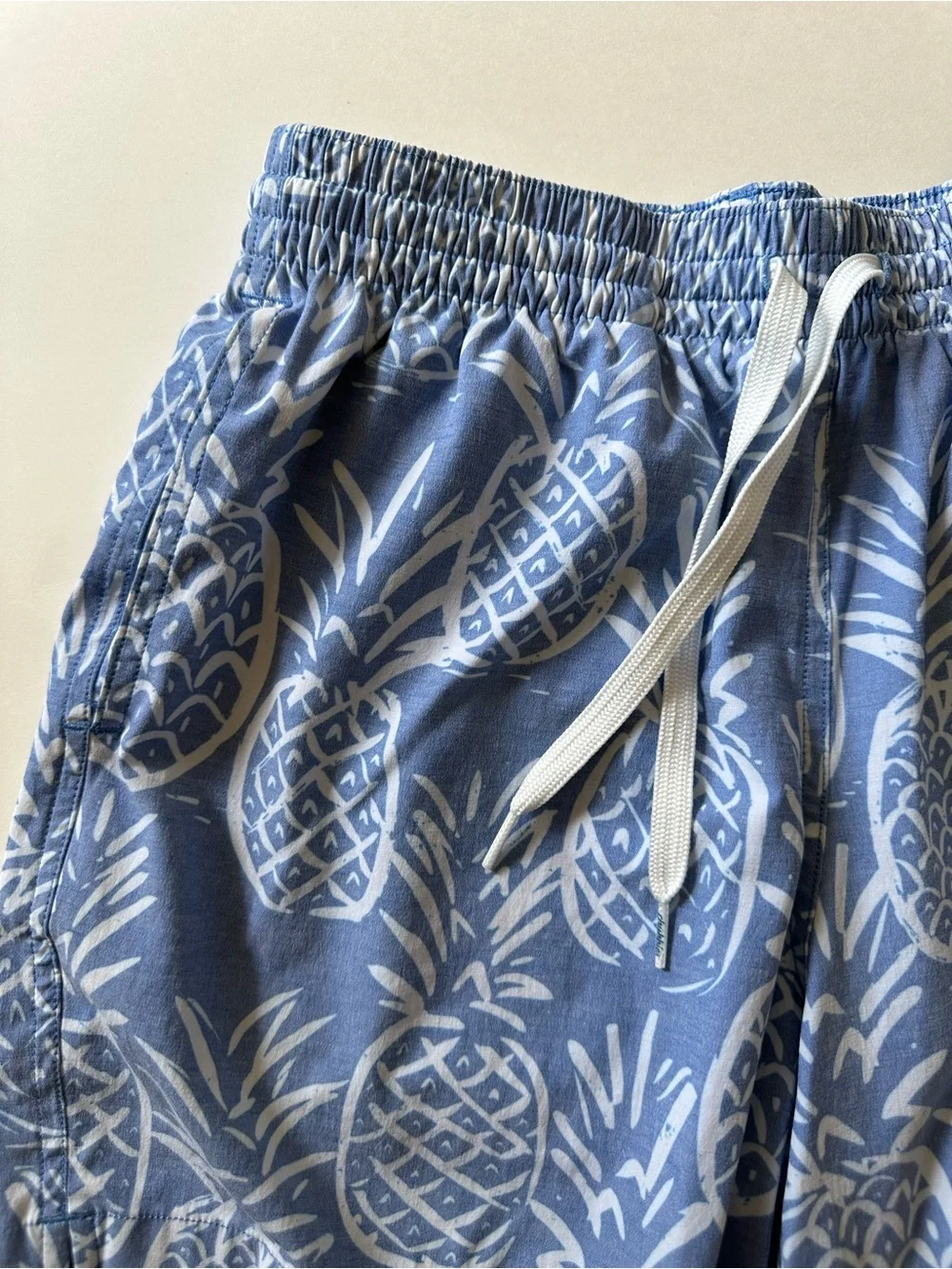 Chubbies Blue Pineapple The Thigh-napples swim trunks